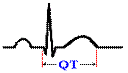 Qt Segment